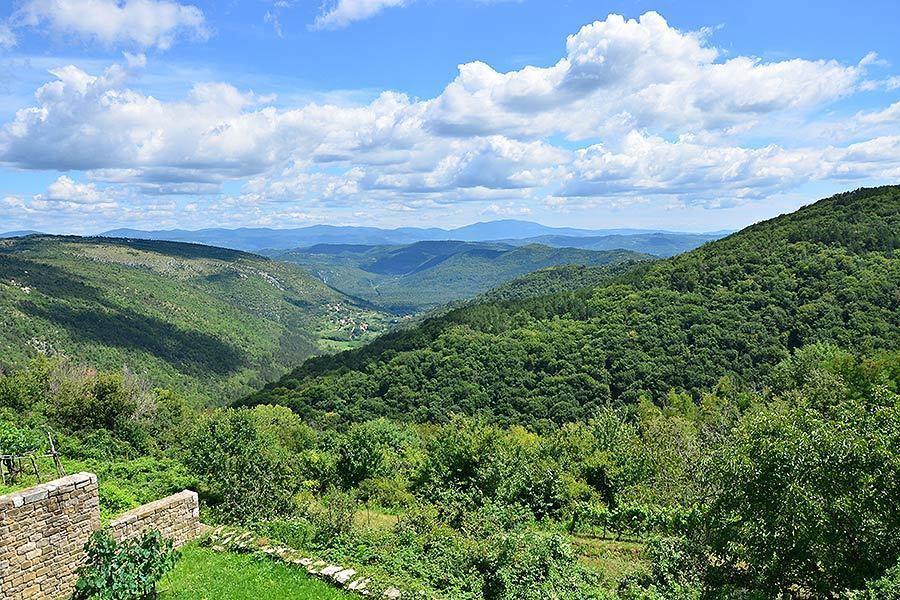 Villa Letizia Oprtalj Δωμάτιο φωτογραφία